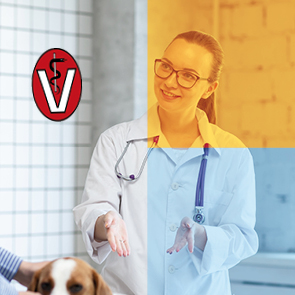 Rechtssicher agieren