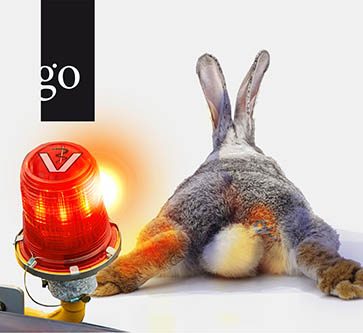 Fit für den Notdienst: Leitsymptom Inappetenz beim Kaninchen