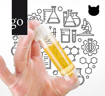 Labordiagnostik: Spurensuche bei der Katze