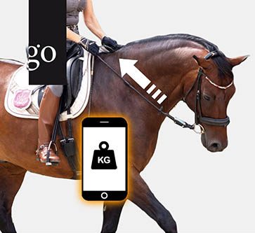 Zügelhilfen und Zügelkräfte