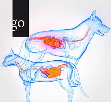 Gastroenterologie in der Kleintierpraxis