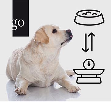 Vorsicht Übergewicht!