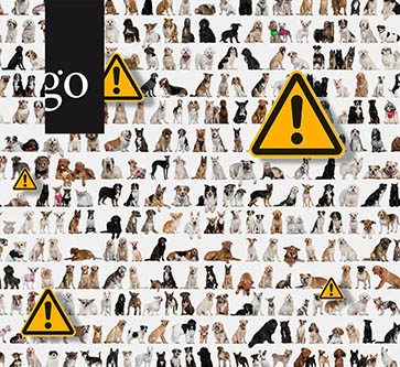 Frühwarnsystem Tierarztpraxis