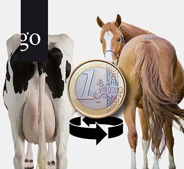 Die wirtschaftlich gesunde Großtierpraxis