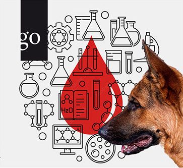 Labordiagnostik: Spurensuche Hämatologie