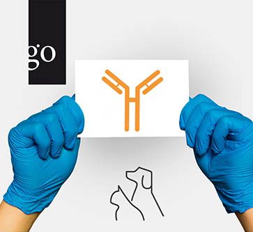 Monoklonale Antikörper als innovative Therapieoption