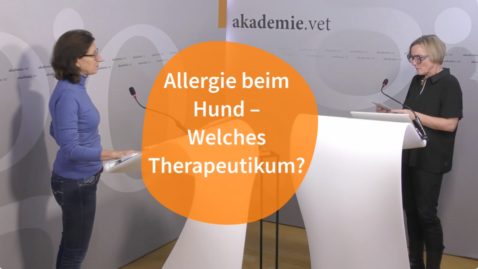 Dr. Astrid Thelen // Allergie – welches Therapeutikum?
