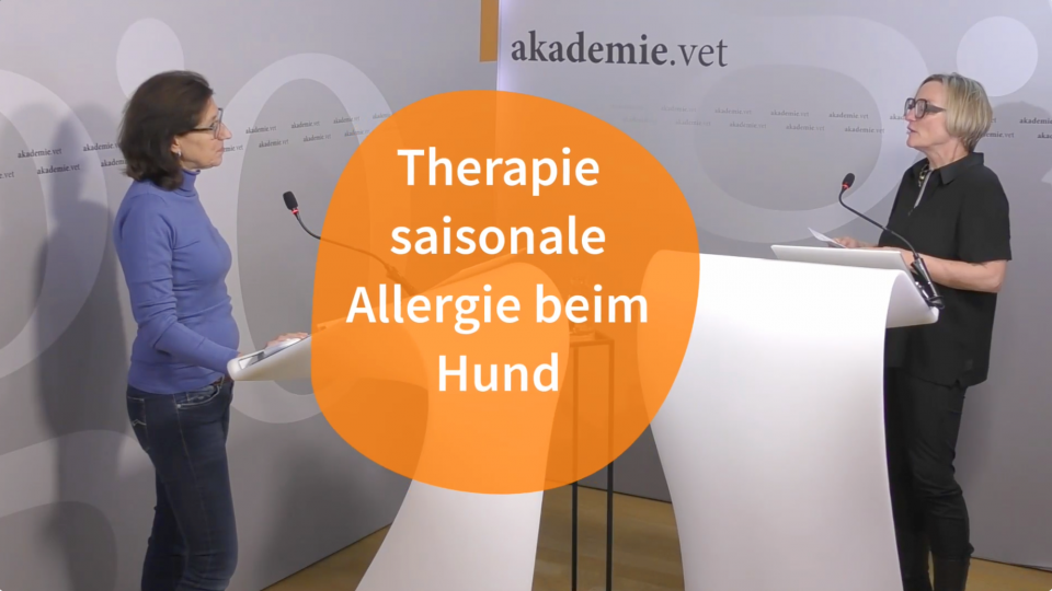 Dr. Astrid Thelen // Therapie saisonale Allergie beim Hund