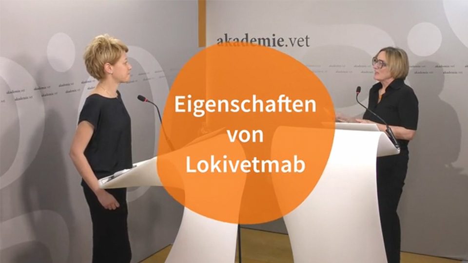 Laura Udraite Vovk // Eigenschaften von Lokivetmab