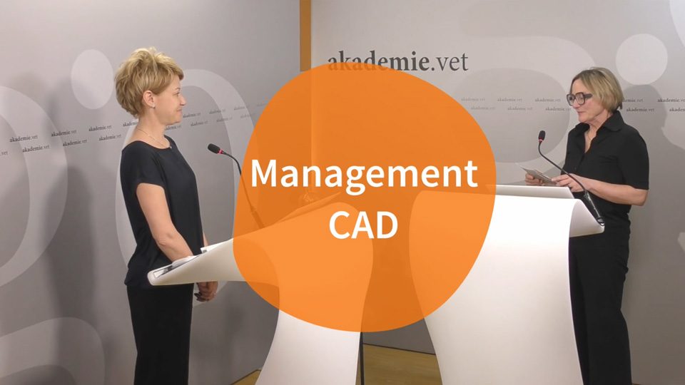 Laura Udraite Vovk // Management CAD