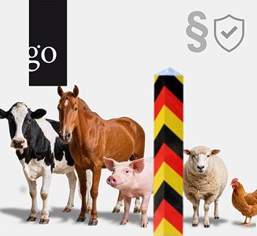 Veterinärbescheinigungen für den Export
